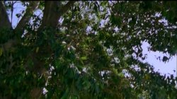 'Debbie Does Dallas...Again' screenshot nº 22