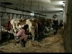 'Heidi 5 - Heidi und die lustigen Spritzbuben der Berge' screenshot nº 32
