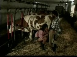 'Heidi 5 - Heidi und die lustigen Spritzbuben der Berge' screenshot nº 37