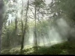'Heidi 5 - Heidi und die lustigen Spritzbuben der Berge' screenshot nº 122