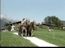 'Heidi 5 - Heidi und die lustigen Spritzbuben der Berge' screenshot nº 2