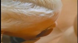 'Count Spermula' screenshot nº 108