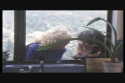'Tight And Tender' screenshot nº 68