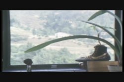 'Tight And Tender' screenshot nº 82