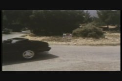 'Tight And Tender' screenshot nº 99