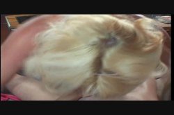 'Bizarre Cravings' screenshot nº 42