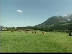 Captura de 'Heidi Teil 4 - Moesleins Bergwelt' nº 118
