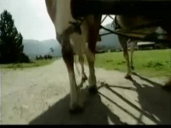 Captura de 'Heidi Teil 4 - Moesleins Bergwelt' nº 121