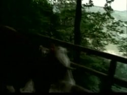 Captura de 'Heidi Teil 4 - Moesleins Bergwelt' nº 28