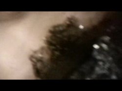 Captura de '103 Degrees In South Central' nº 123