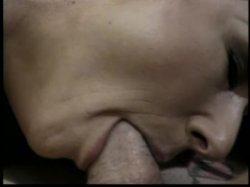 Captura de 'Wanted: Dixon Myass' nº 26