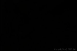 Jungle Jerkoff 2 - Scene1 - 1