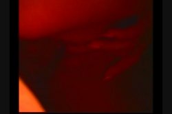 'Group Sex 5' screenshot nº 20