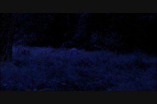 My Scary Movix - Escena7 - 1