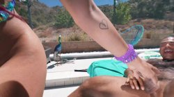 'Transsexual Hitchhikers 5' screenshot nº 135