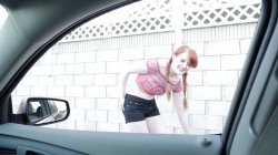 'Ginger Patch' screenshot nº 117