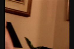 Captura de 'Portrait of Dorie Grey' nº 76
