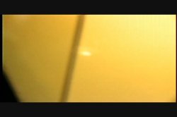 Captura de 'Carnal Garden' nº 127