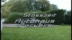 Captura de 'Stosszeit Im Autohaus Pervers' nº 1