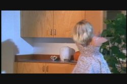 Captura de 'American Blonde' nº 41