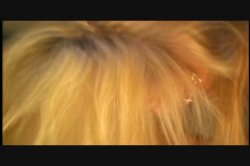 Captura de 'American Blonde' nº 64