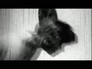 8mm John Holmes Collection - Escena1 - 3
