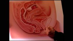 'Nina Hartley's Guide To G-Spot Sex' screenshot nº 17