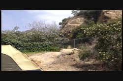 'Fanny Farm' screenshot nº 12