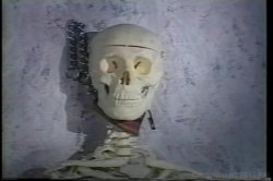 'Barbara Dare Devours Men' screenshot nº 53