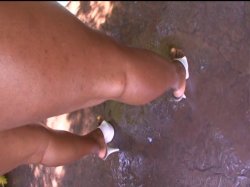 Captura de 'Black Bottom Girls 4' nº 36