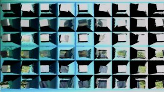 Reality Teil 9 - Scene2 - 1