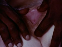 'Fantasy Club Of America' screenshot nº 69
