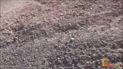 Captura de 'Sweet Young Pussy In The Open Desert' nº 10