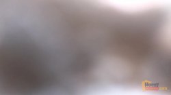 Captura de 'Sweet Young Pussy In The Open Desert' nº 34
