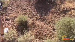 Captura de 'Sweet Young Pussy In The Open Desert' nº 37