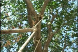 Captura de 'Adult Stars at Home 3' nº 91