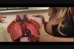 'Busty Nurses 2' screenshot nº 120