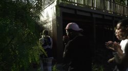 Captura de 'Interracial Blow Bang Vol. 26' nº 3