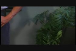 Captura de 'Interview with Raylene' nº 77