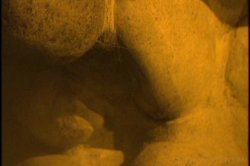 'No Boys, No Toys 2' screenshot nº 131