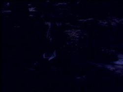 'The Rowdy Girls' screenshot nº 43