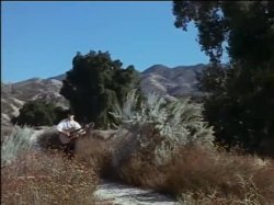 'The Rowdy Girls' screenshot nº 1