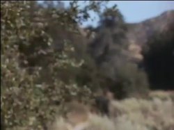 'The Rowdy Girls' screenshot nº 125