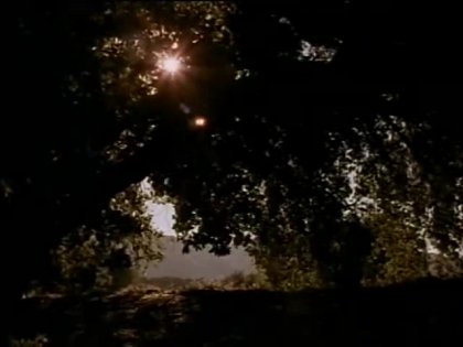 Scene 3