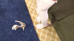 'Black Meat White Feet 3' screenshot nº 102