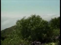 Captura de 'Interracial Anal Vacation' nº 34