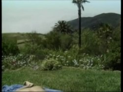 Captura de 'Interracial Anal Vacation' nº 72