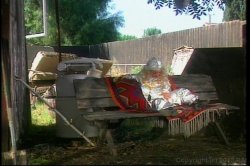 'Double Midgetation' screenshot nº 8