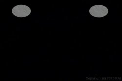 'Double Midgetation' screenshot nº 1