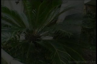 Marked For Anal - Escena1 - 1